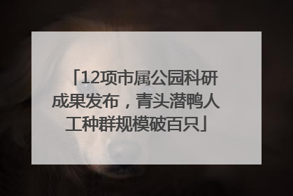 12项市属公园科研成果发布，青头潜鸭人工种群规模破百只